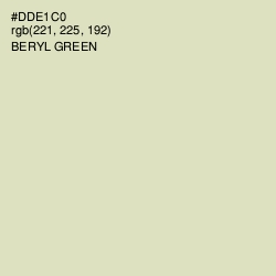 #DDE1C0 - Beryl Green Color Image